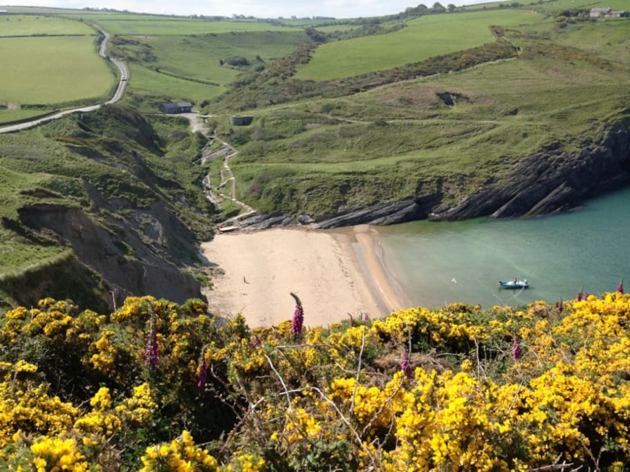 The beach from half up the Mwnt