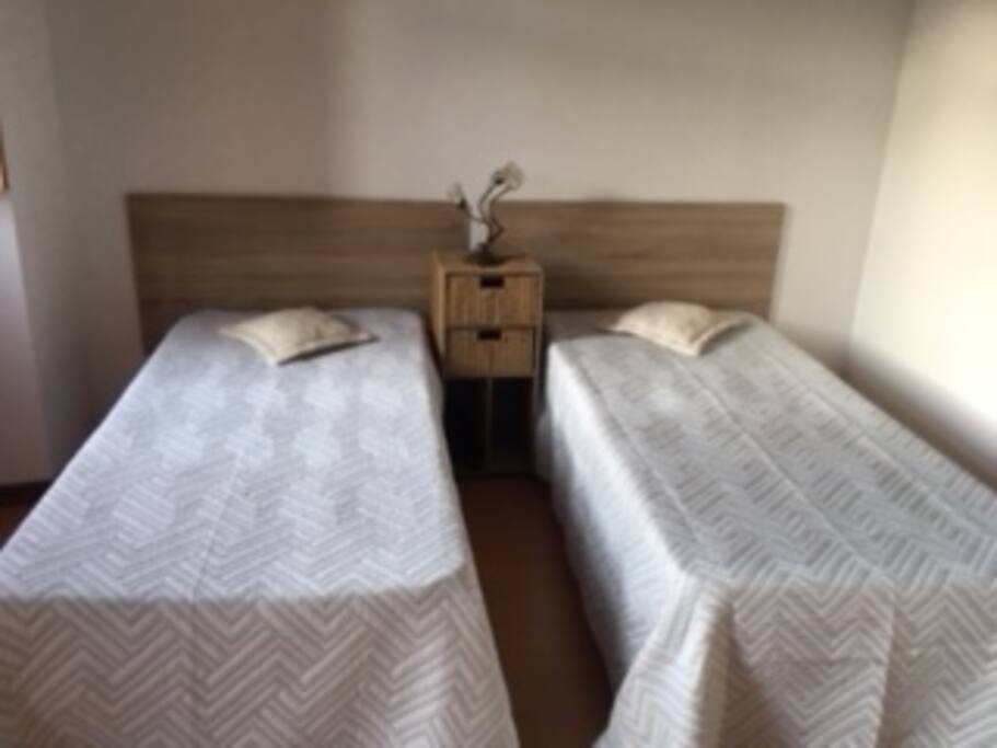 Room 1vwith two beds