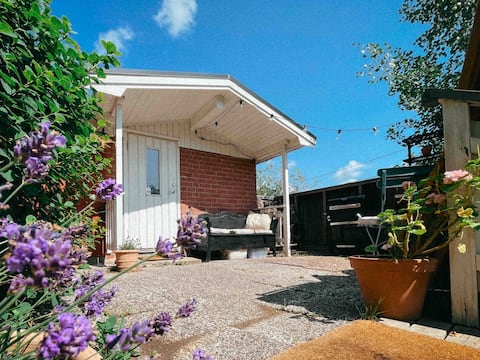 Rustic small nature reserve cottage