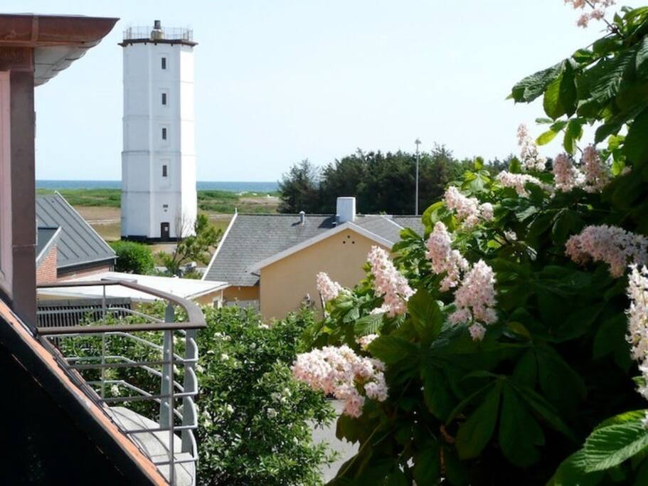 Havkik