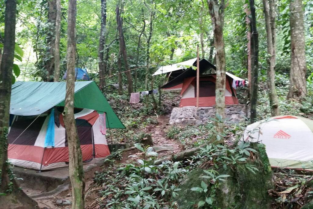 Tiendas de campaña con dos camas unipersonales rodeado de Bosque virgen.
