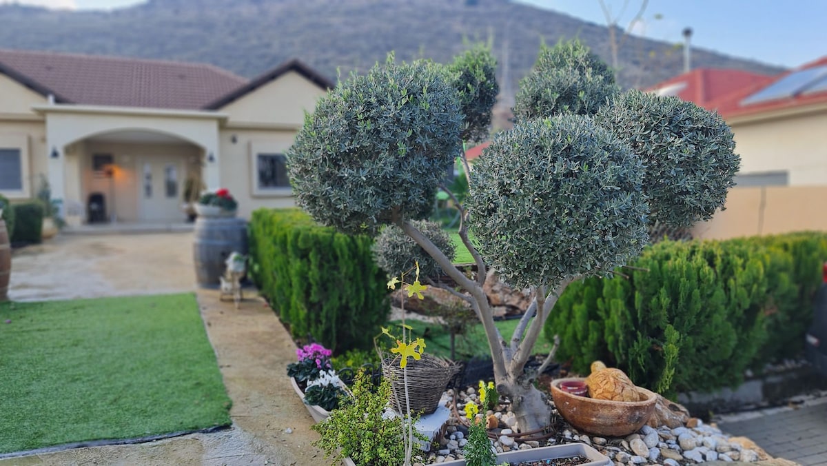 The exterior garden is showcased with a manicured lawn, decorative stone features, and various potted plants. A large, sculpted tree stands prominently, surrounded by neatly trimmed hedges. The backdrop features the villa, blending harmoniously with the natural landscape of the nearby hillside.