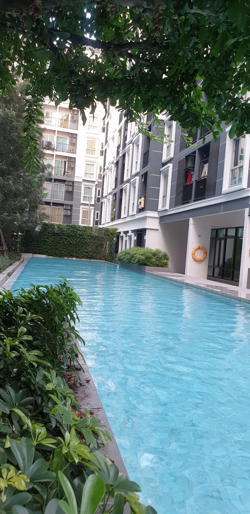 A refreshing swimming pool is framed by lush greenery, creating a serene atmosphere. The clear blue water reflects the surrounding foliage and the modern architecture of the building, offering a tranquil space for relaxation.