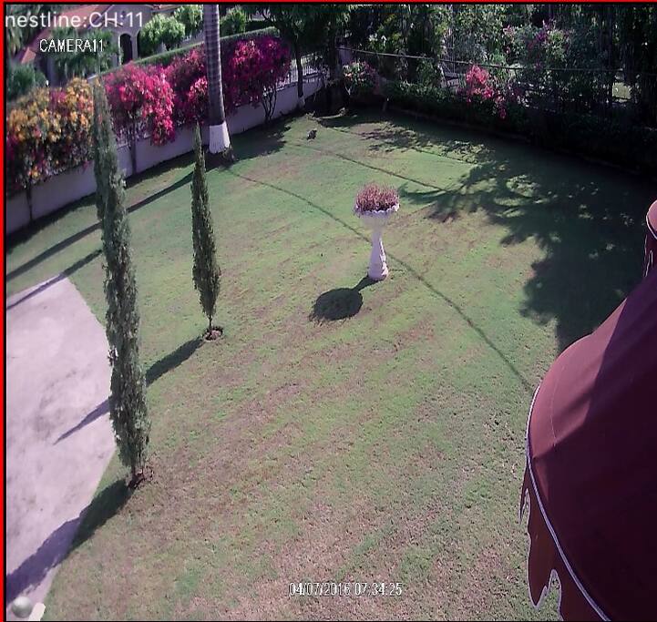 Front lawn of Main house
