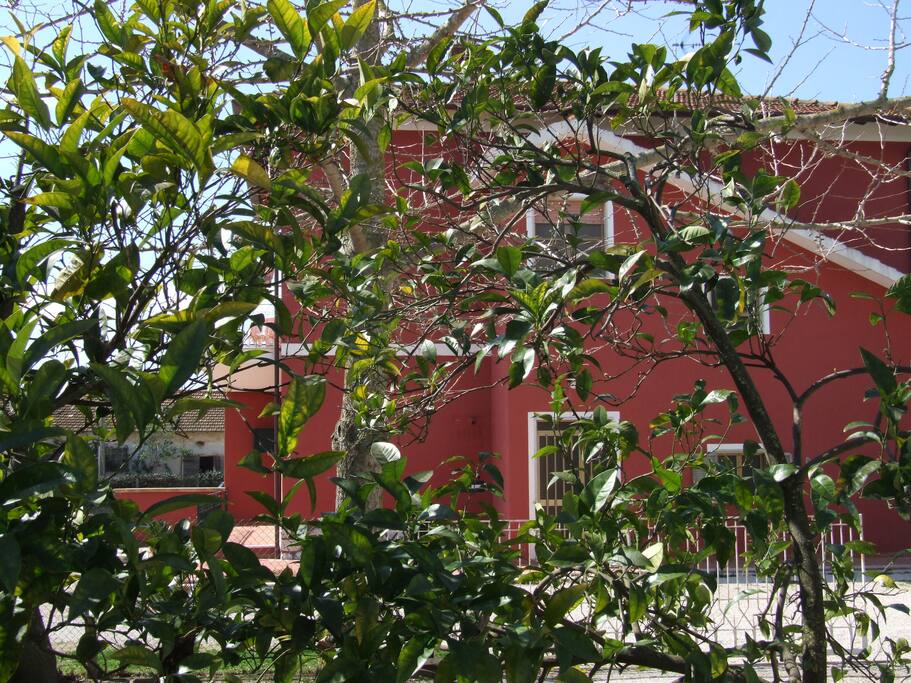 esterno