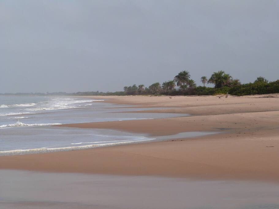 Des kms de plage vierge et une nature à couper le souffle...