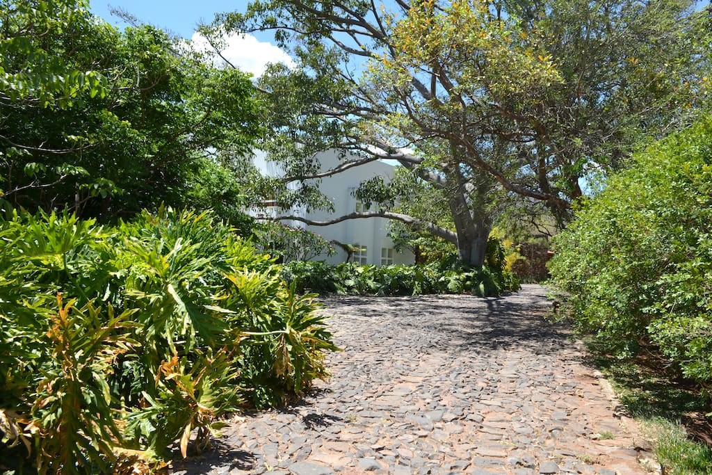 driveway