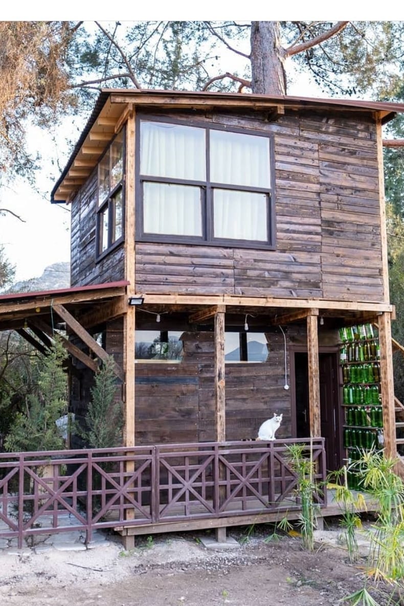 A two-story wooden structure exhibits rustic charm, featuring large windows that allow natural light to fill the space. A small white cat is seen sitting on the front porch, which has a lattice railing. Surrounding greenery complements the earthy tones of the building.
