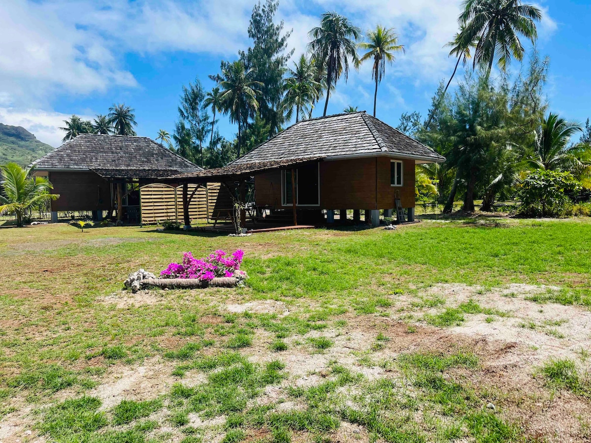 A charming bungalow is situated in a lush outdoor setting, surrounded by palm trees and verdant grass. A path leads to the door, while vibrant flowers are arranged artfully in the foreground, contributing to the serene atmosphere of the property.