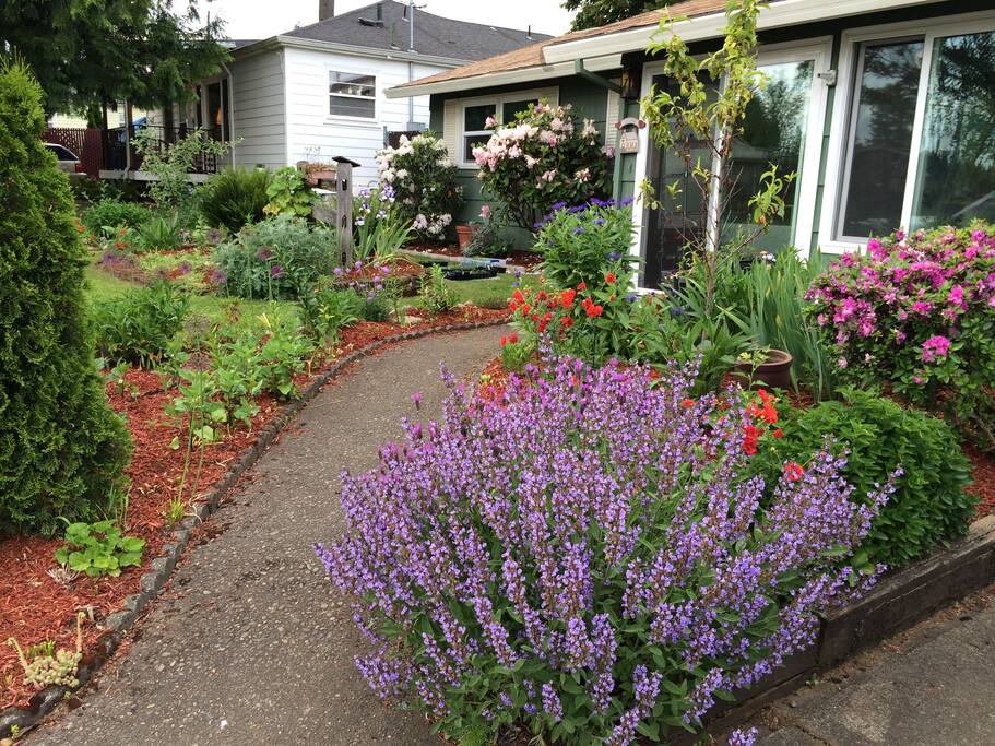Lovely gardens with a water feature in the private back yard.