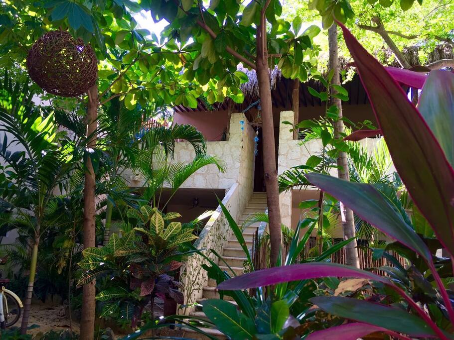 Surrounded By Mayan Garden