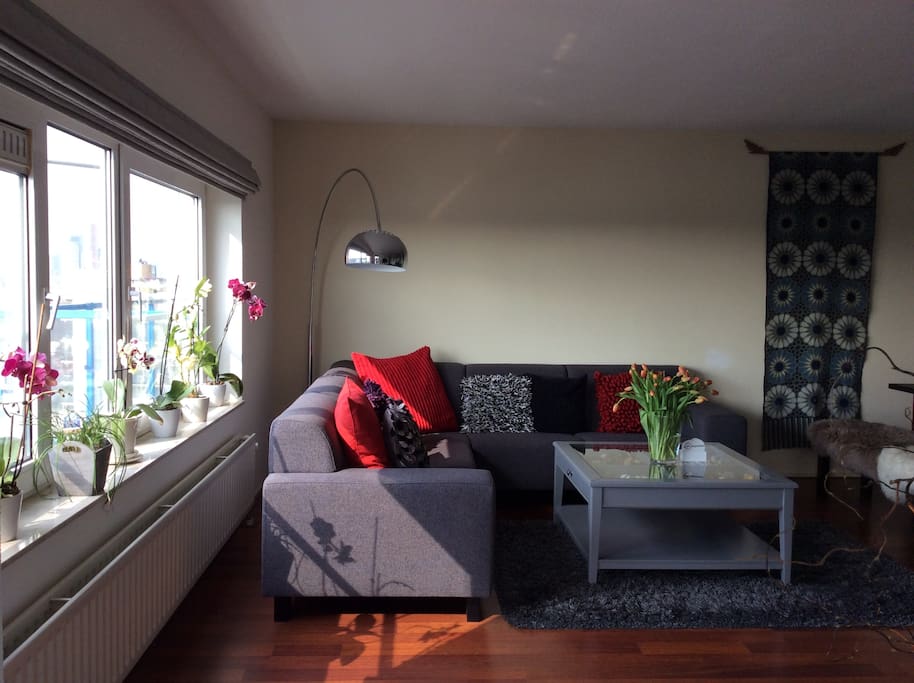 The Living Room