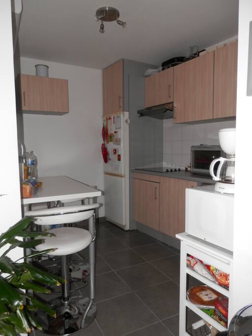 coin cuisine avec frigo, lave-vaisselle, micro-ondes