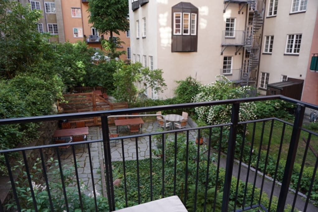 View from Balcony