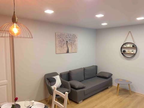 Modern Apartment