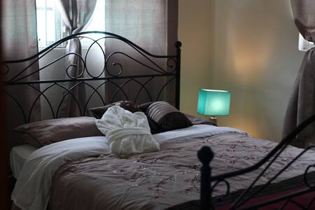 Birdwatcher's Oasis II