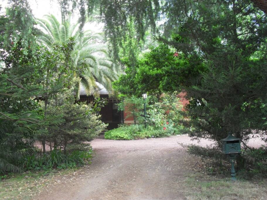 Allan Court Gardens Driveway