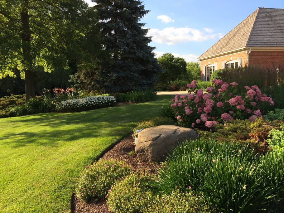 Landscaping in front of house. Private Bedroom window is the far right set of windows.