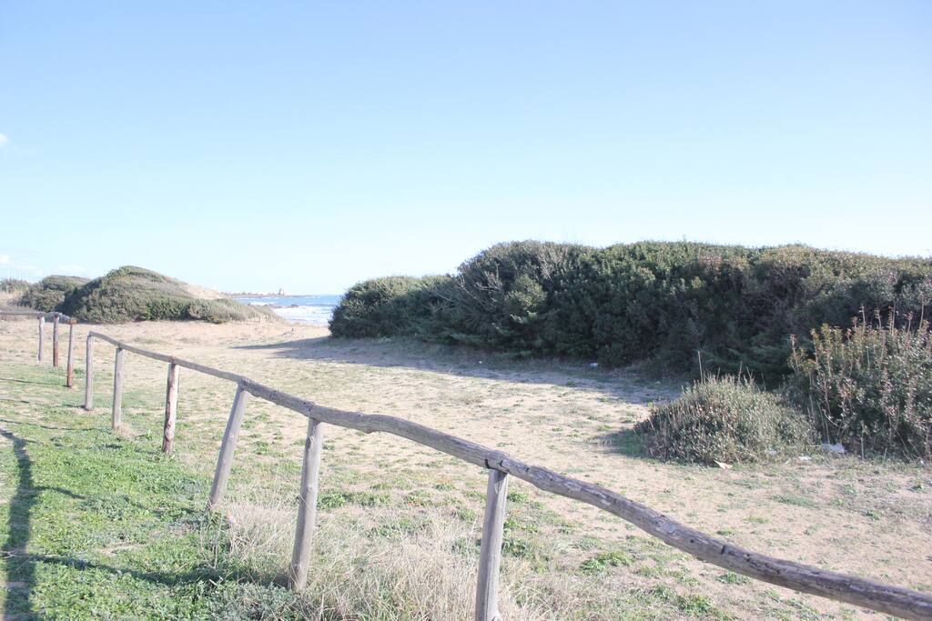 Splendide spiaggie protette dalle dune - Beautiful beaches protected by the dunes