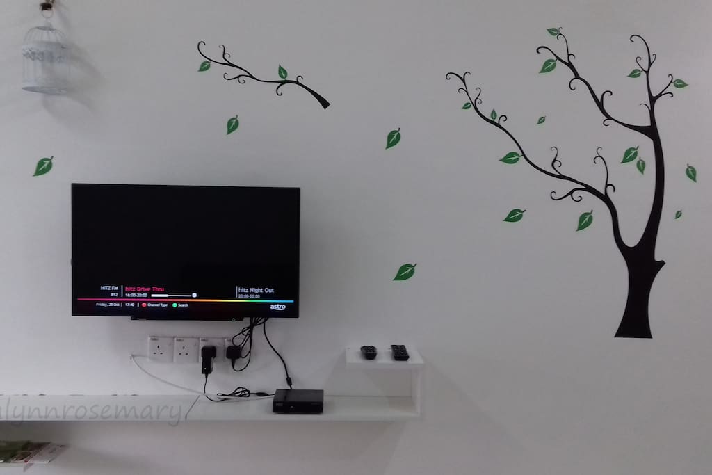 32" Television