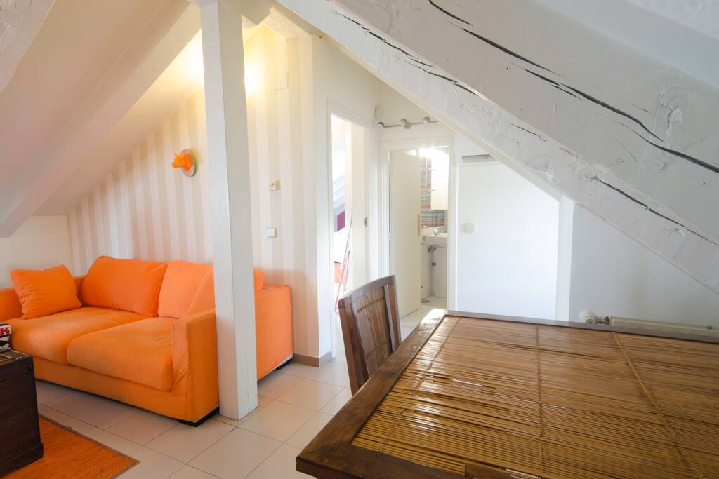 Very functional loft with several spaces