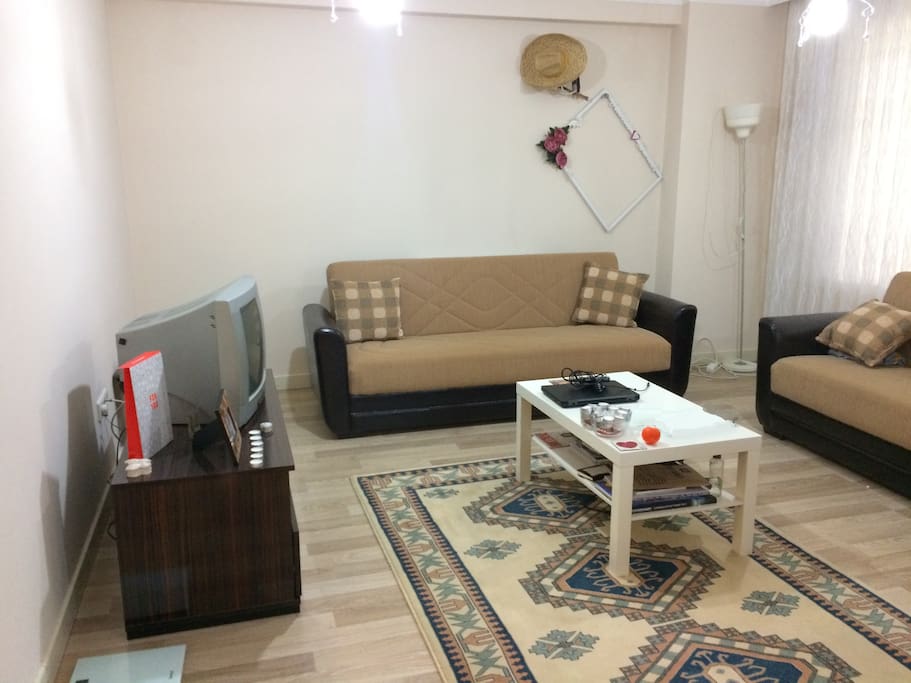 Saloon / Salon - 3