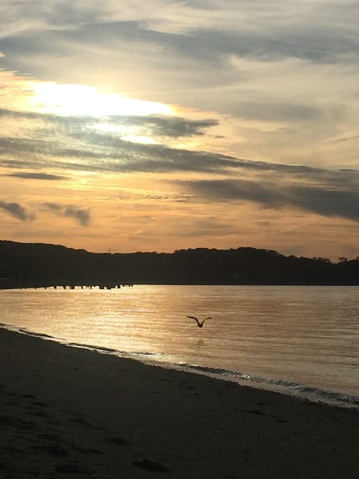 Beautiful sunsets and birds at Crescent Beach These beautiful views can be seen from the Perlman the Pridwin and Sunset Beach restaurant