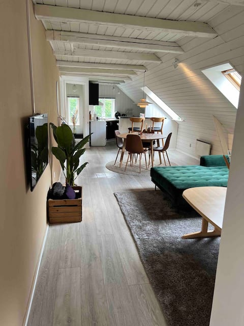 Large apartment, down to the city.