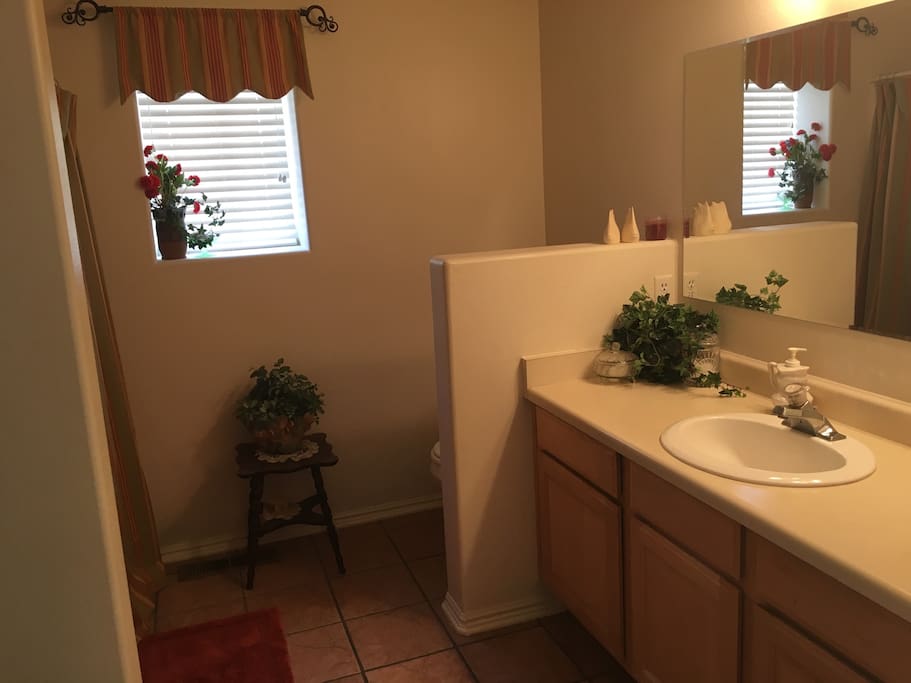 This bathroom is hospital standard clean and it features a tub/shower combo and lots of counter space.