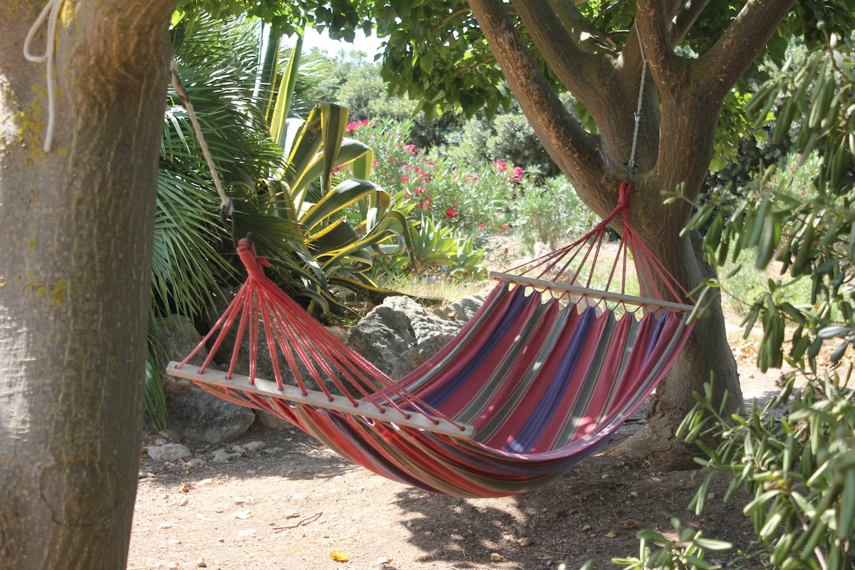 A colorful hammock is suspended between two trees, inviting relaxation under natural shade. Surrounding foliage includes palm and flowering plants, creating a serene atmosphere for unwinding. Sunlight filters through the leaves, enhancing the peaceful ambiance of the garden space.