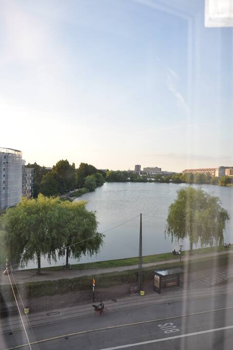 The view
