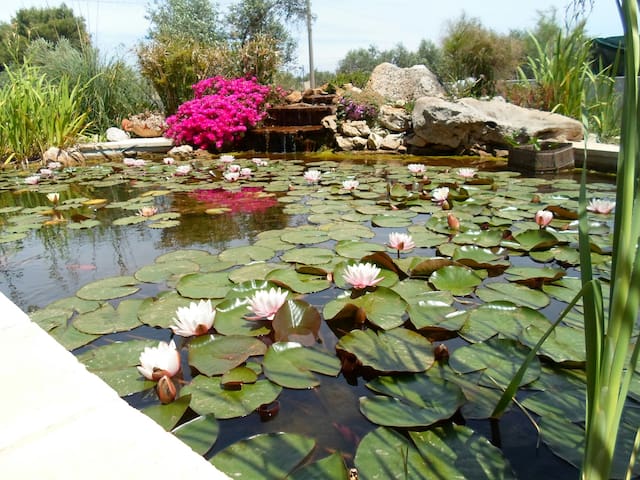 appartamento in villa Martina a 3km dal mare 14 pl