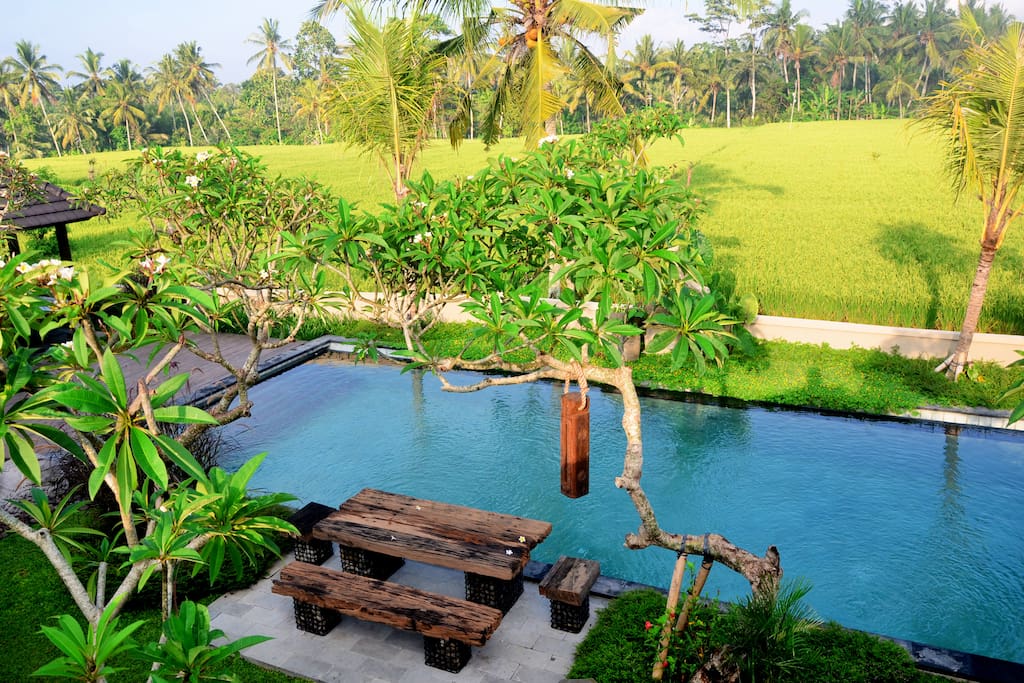 swimming pool with rice field view