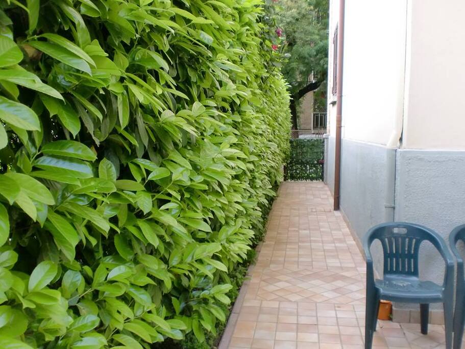 giardino