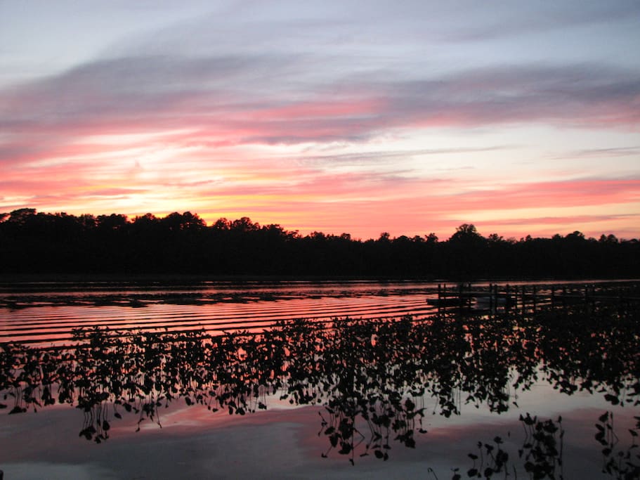 Beautiful waterfront sunsets