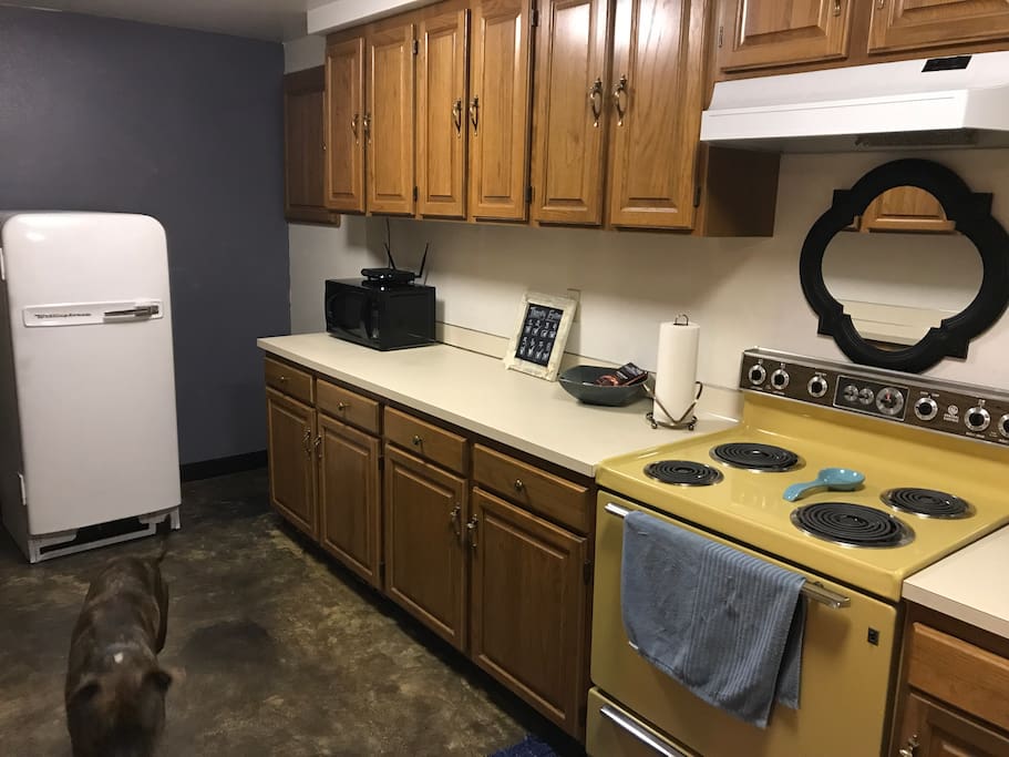 Private kitchen ... and puppy :)
