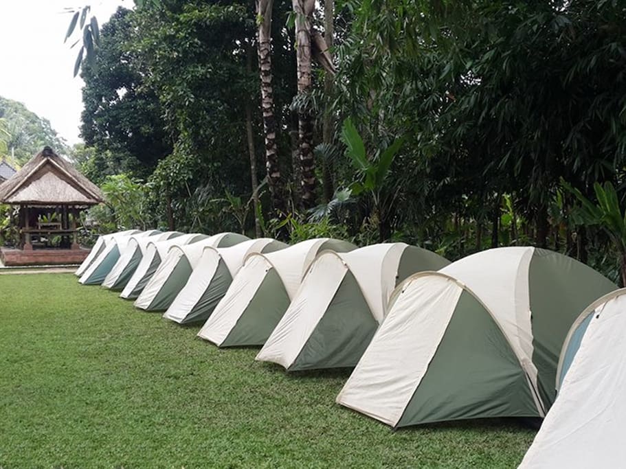 Bali Camping - Tent 11