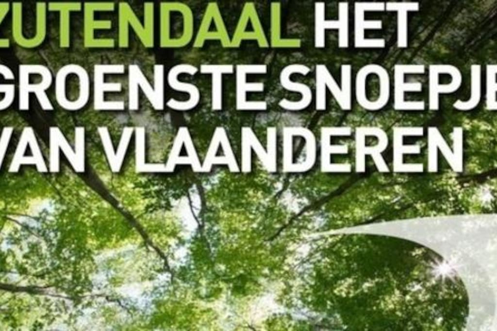 Zutendaal het groenste snoepje van Vlaanderen