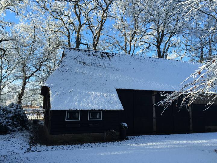 Pays des merveilles hivernales dans le sud-ouest de la Drenthe !