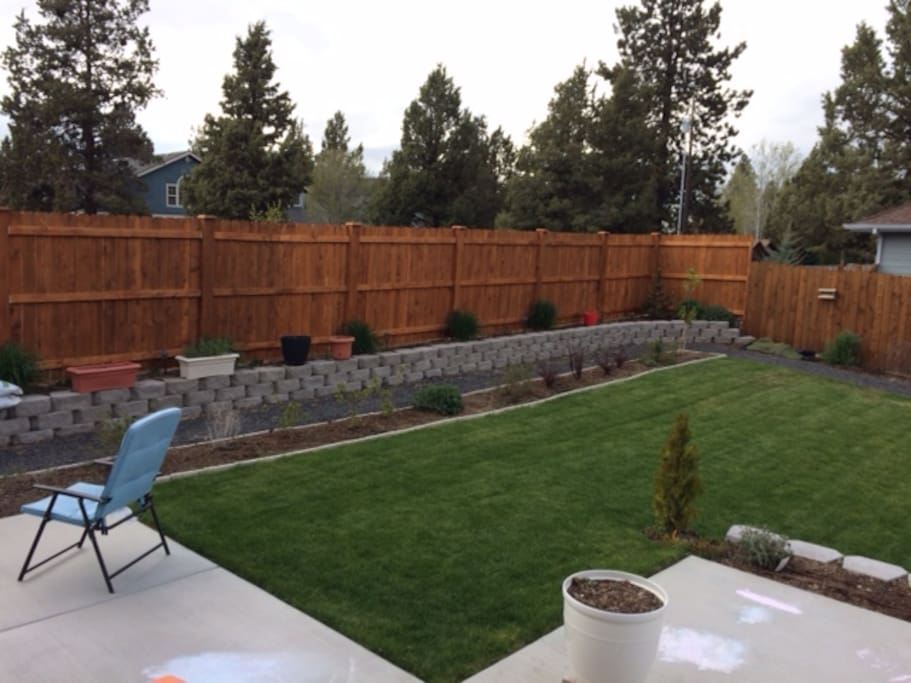 Our private back yard