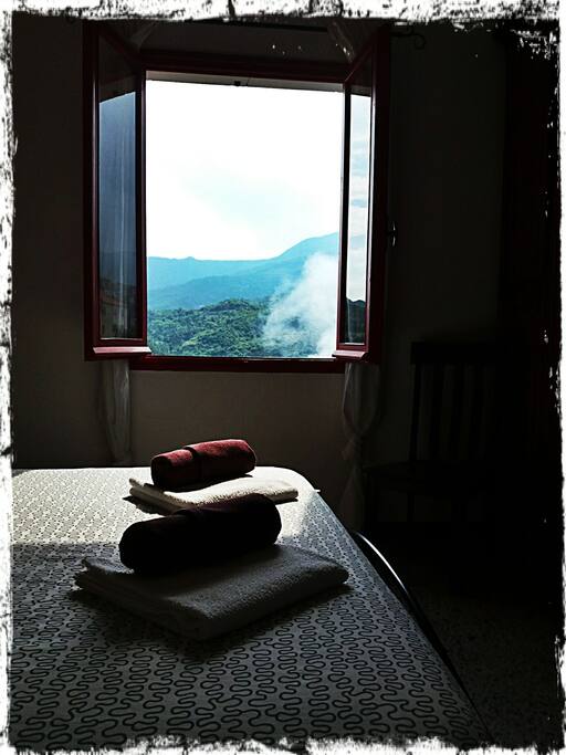 stanza nocciola