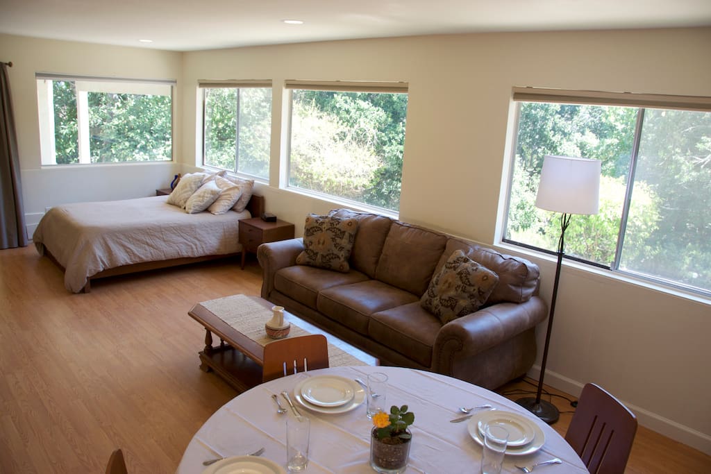Large private room includes dining table, couch seating, desk, bed, and kitchenette.