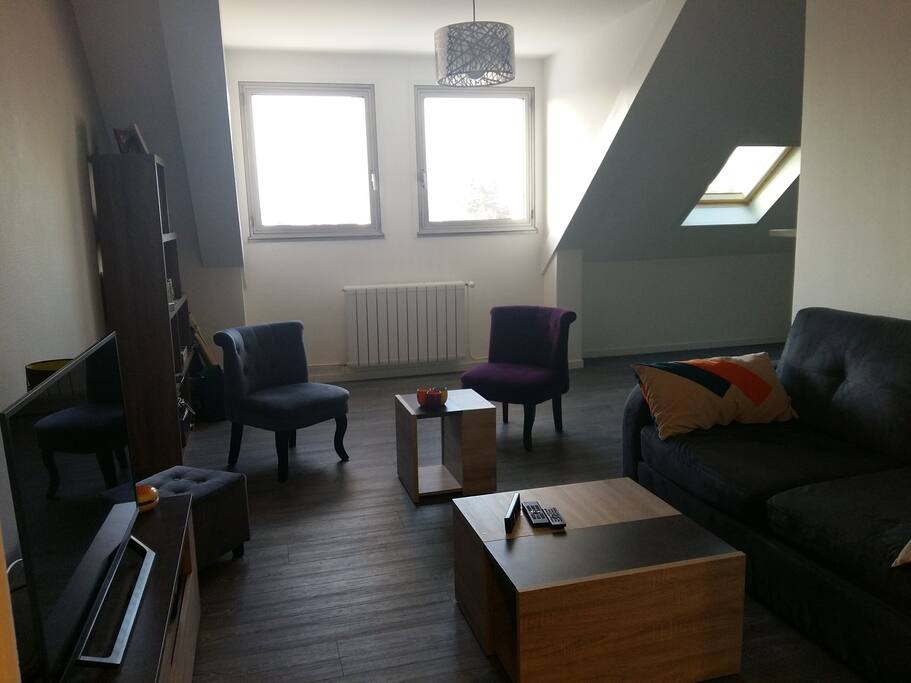 Grand salon lumineux équipé canapé convertible, fauteuils et grande TV avec Netflix