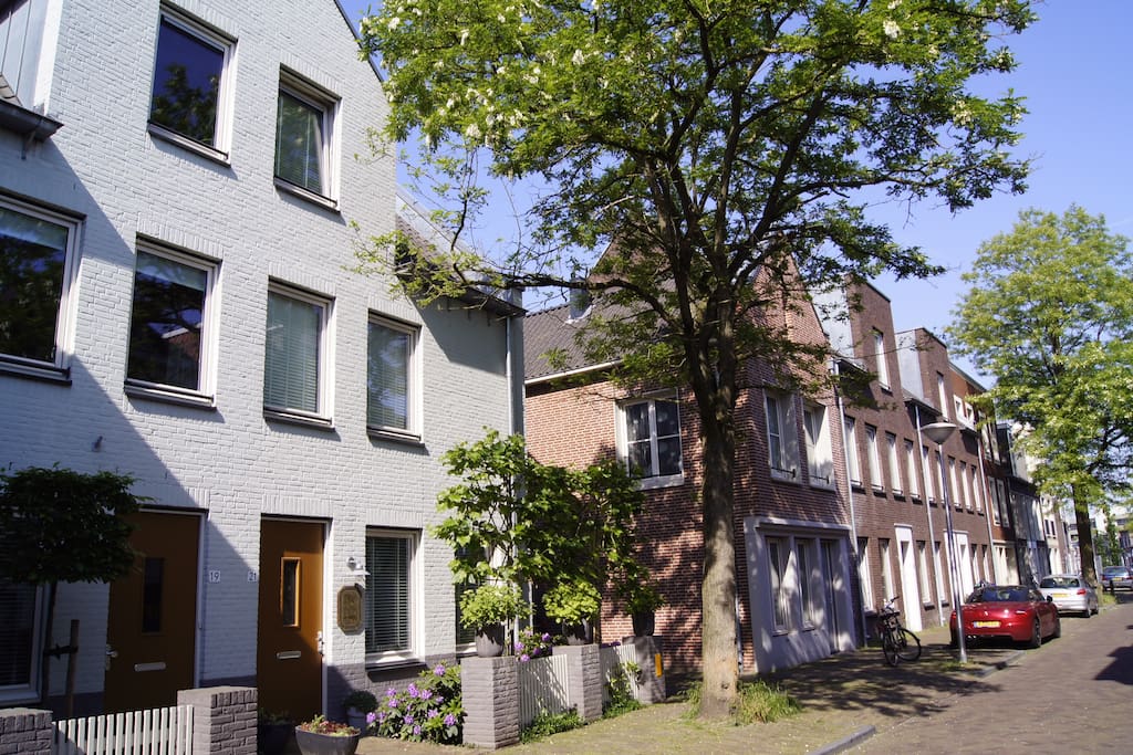 Hoogstraat with Bed and Breakfast
