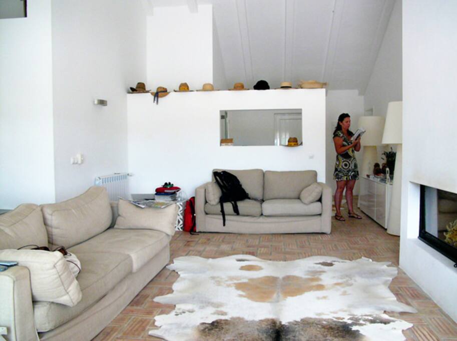 Living Room and Entrance Hall