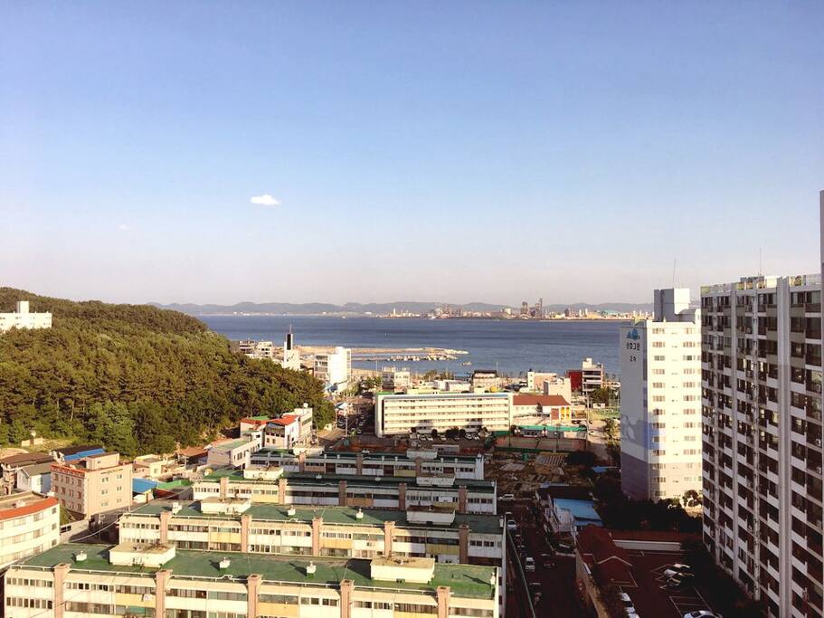 영일대해수욕장에서 도보 10분