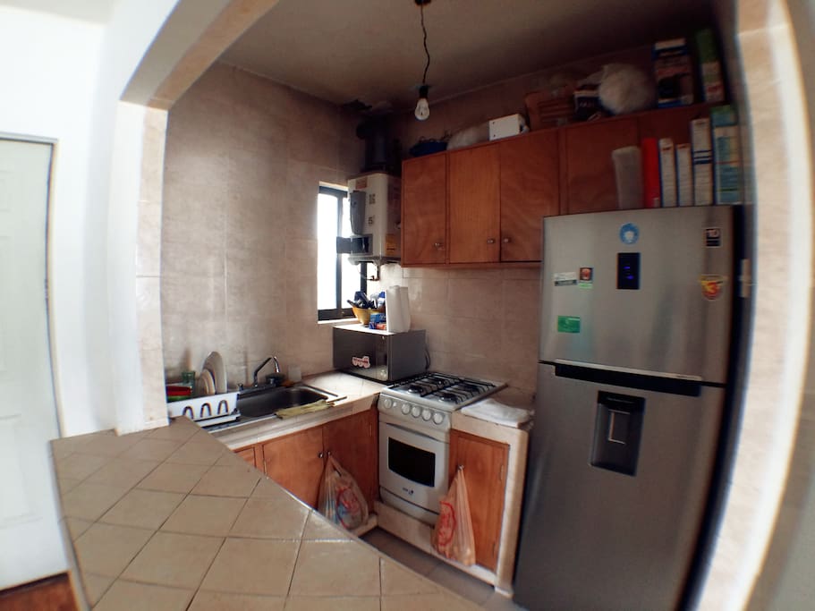 The kitchen