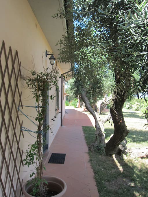 Accesso dal giardino panoramico