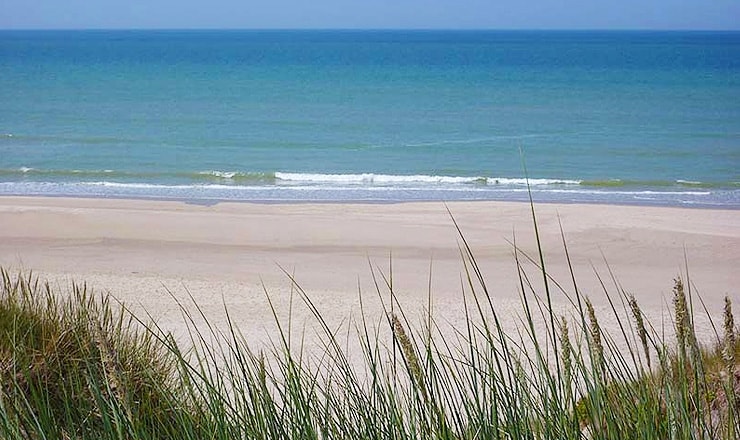 The image captures a tranquil beach scene with gentle waves lapping at a sandy shore. Grasses gently sway in the foreground, framing the expanse of water and the clear blue sky. The absence of people highlights the peacefulness of the setting.