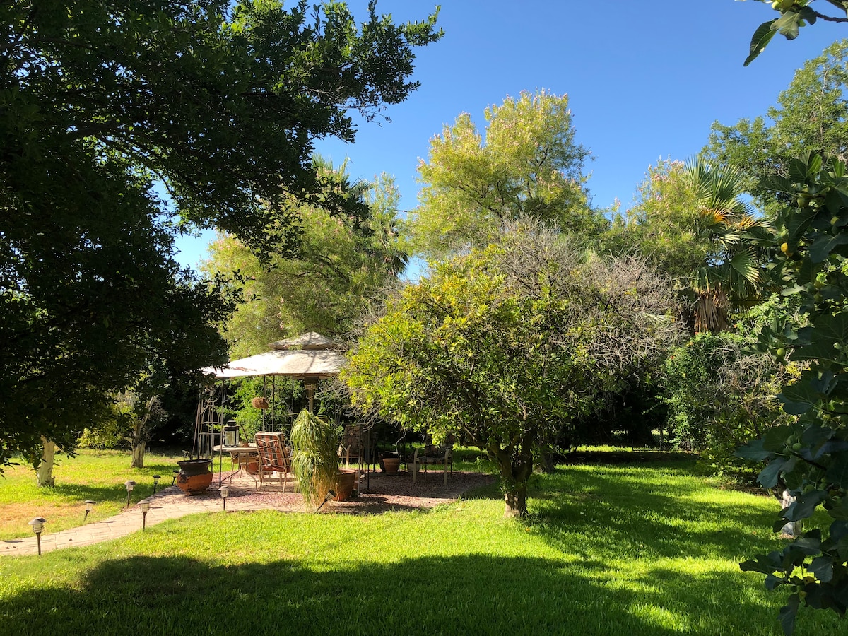 A spacious backyard features various trees and lush green grass. A shaded seating area is visible under a canopy, surrounded by plants. Sunlight filters through the foliage, creating a serene outdoor space for relaxation.
